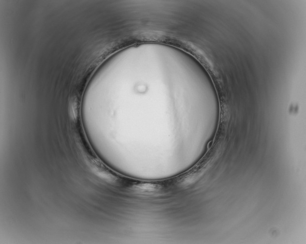 X0000090610069200708141359