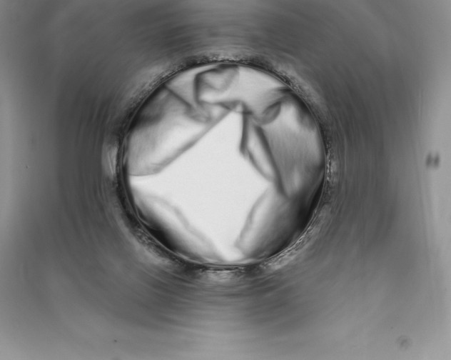 X0000090610070200708141359