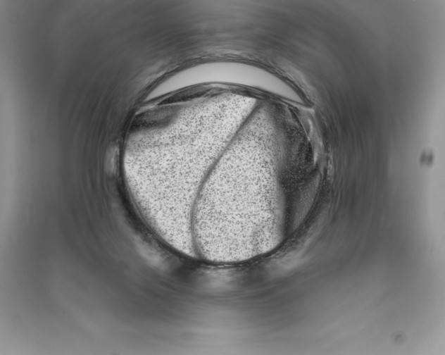 X0000090610071200708141359