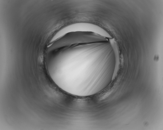 X0000090610072200708141359