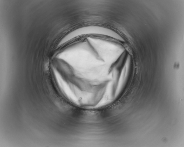 X0000090610073200708141400