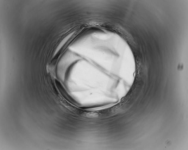 X0000090610075200708141400