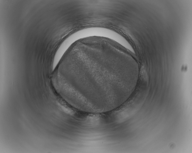 X0000090610076200708141400