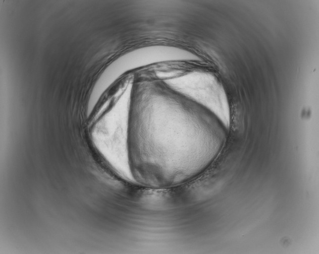 X0000090610077200708141400