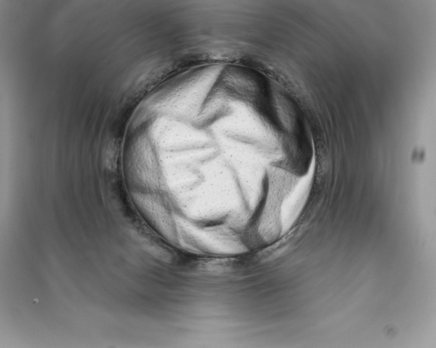 X0000090610078200708141400