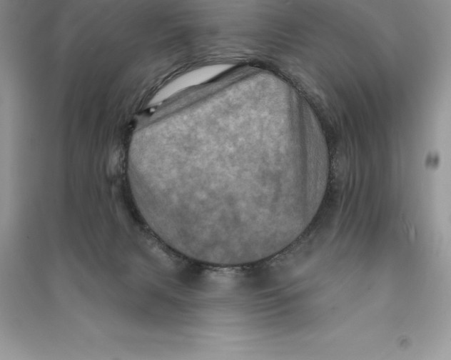 X0000090610079200708141400