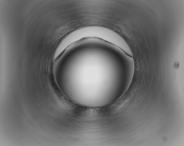 X0000090610080200708141400