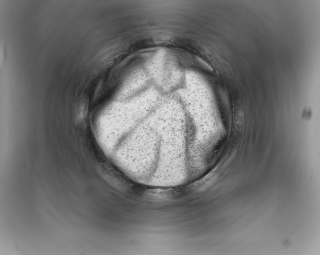 X0000090610082200708141400