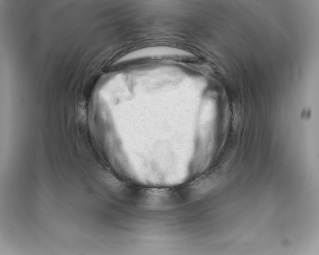 X0000090610085200708141400