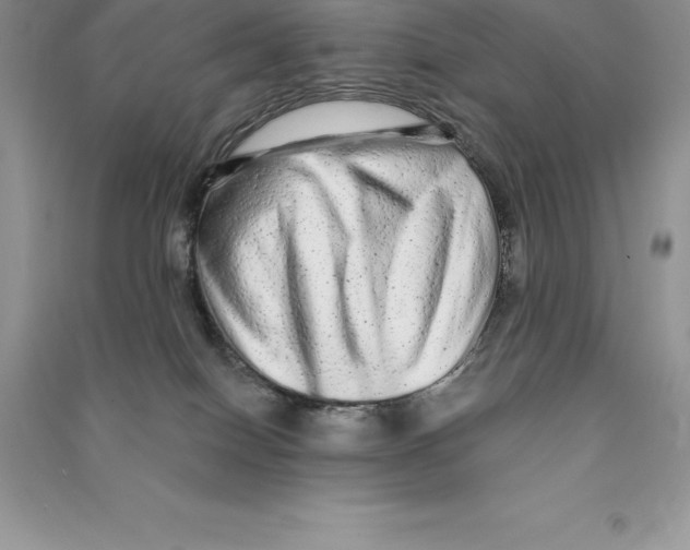 X0000090610086200708141400