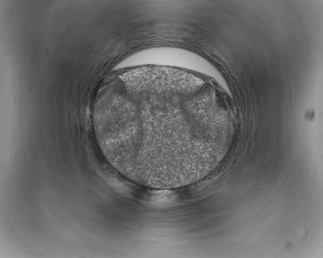 X0000090610087200708141400