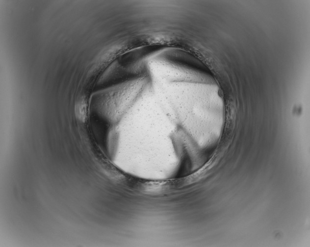 X0000090610090200708141400