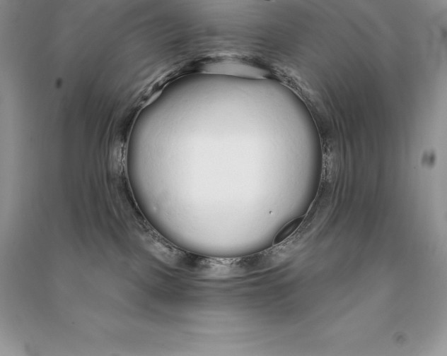 X0000090610093200708141400