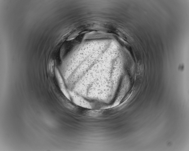 X0000090610094200708141400