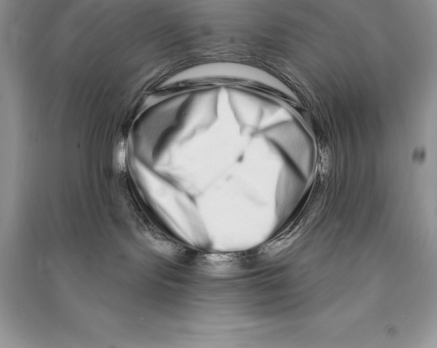 X0000090610095200708141400