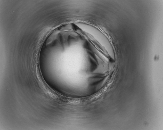 X0000090610097200708141359