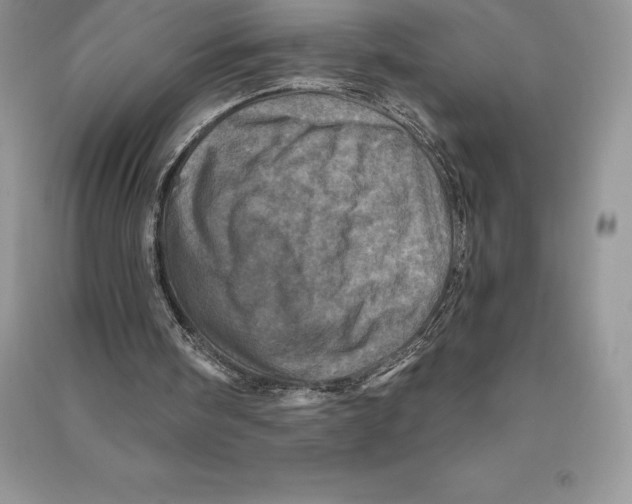 X0000090610098200708141359