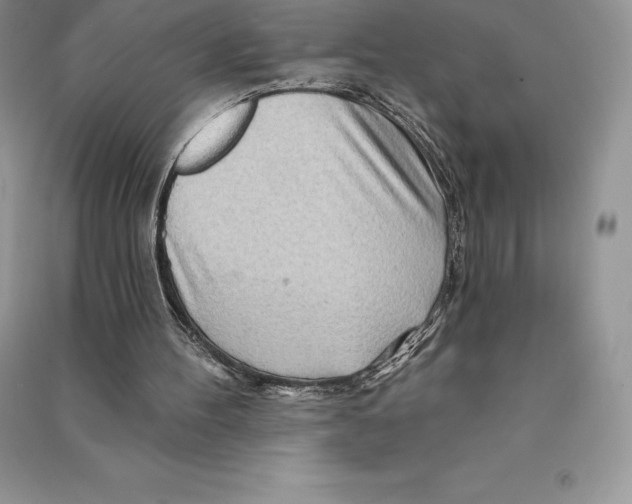 X0000090610100200708141359