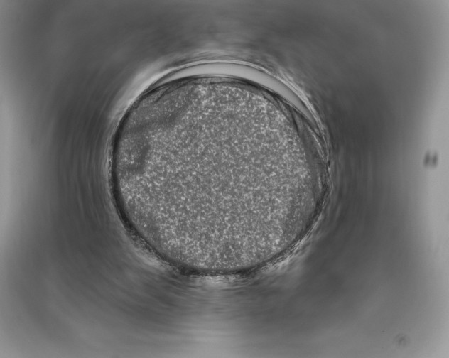 X0000090610103200708141359