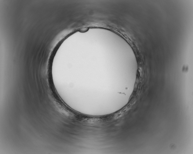 X0000090610104200708141359