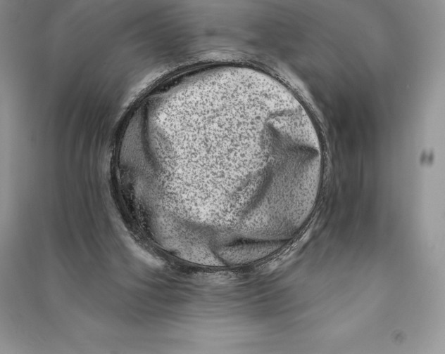 X0000090610106200708141359