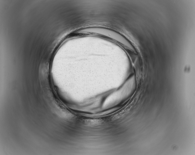 X0000090610107200708141359