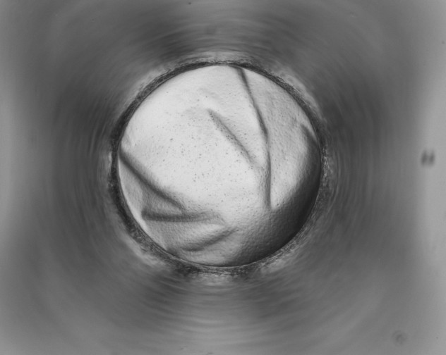 X0000090610110200708141359