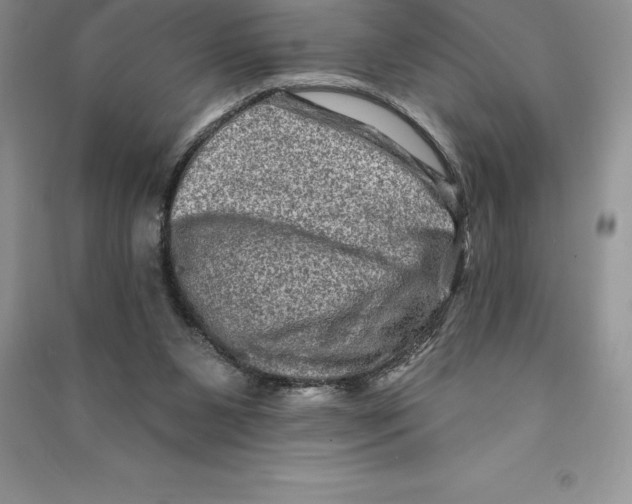 X0000090610111200708141359