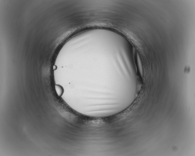 X0000090610112200708141359