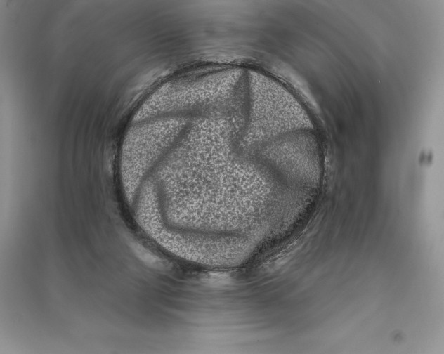 X0000090610114200708141359