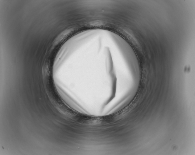 X0000090610116200708141359