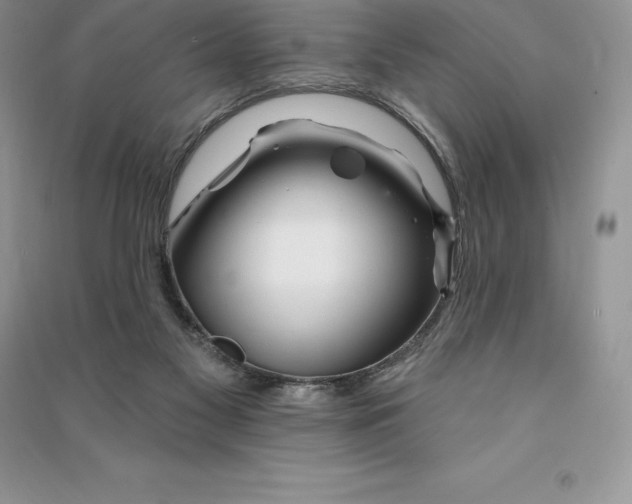 X0000090610117200708141359