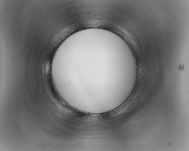 X0000090610118200708141359