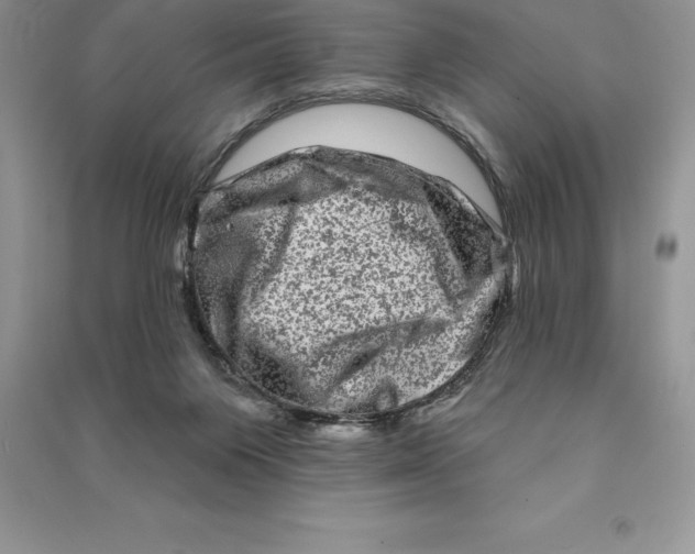 X0000090610119200708141359