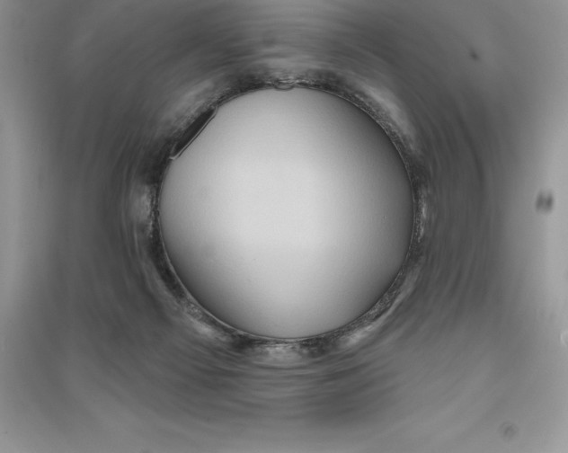 X0000090610121200708141359