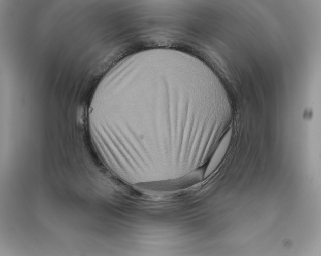 X0000090610122200708141359