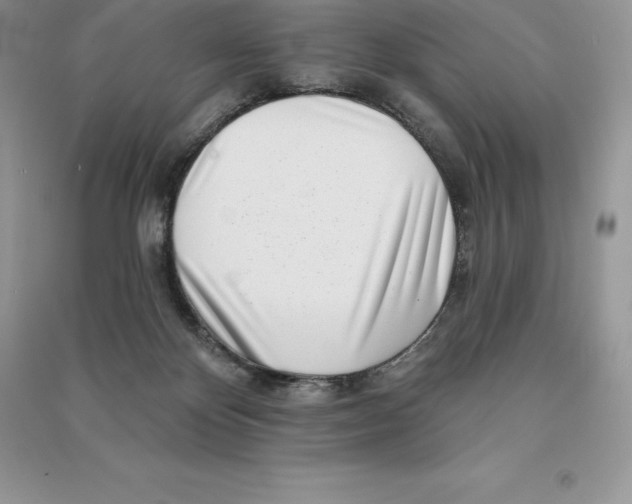 X0000090610124200708141359