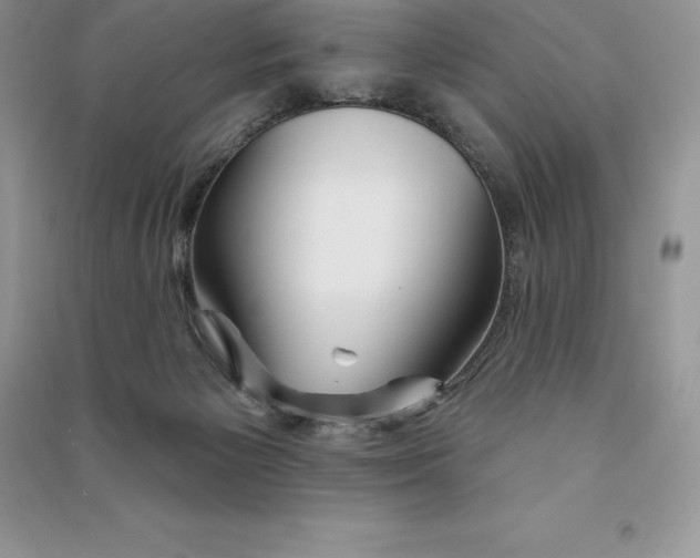 X0000090610125200708141359