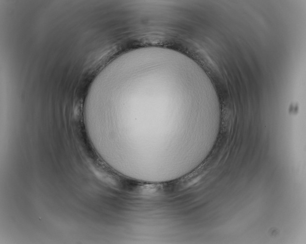 X0000090610126200708141359