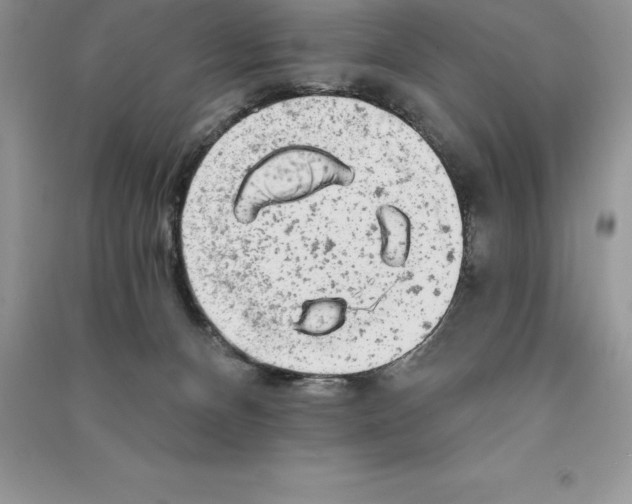 X0000090610128200708141359