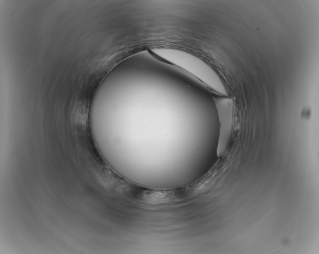 X0000090610129200708141359