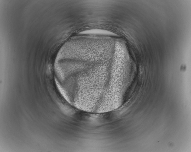 X0000090610130200708141359