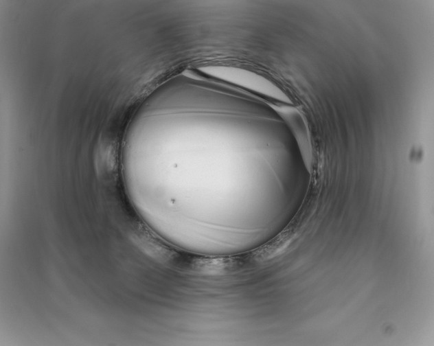 X0000090610131200708141359