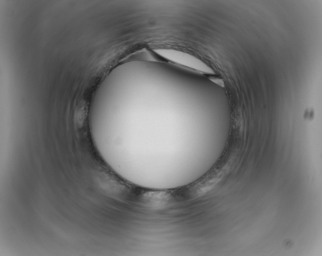 X0000090610133200708141359