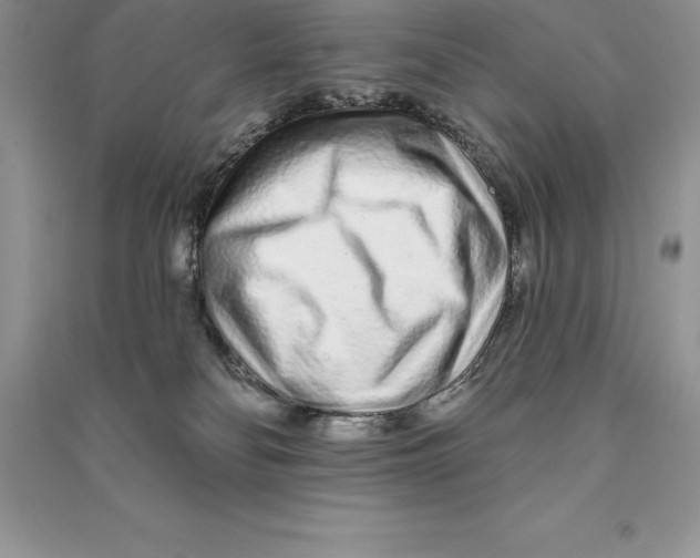 X0000090610134200708141359