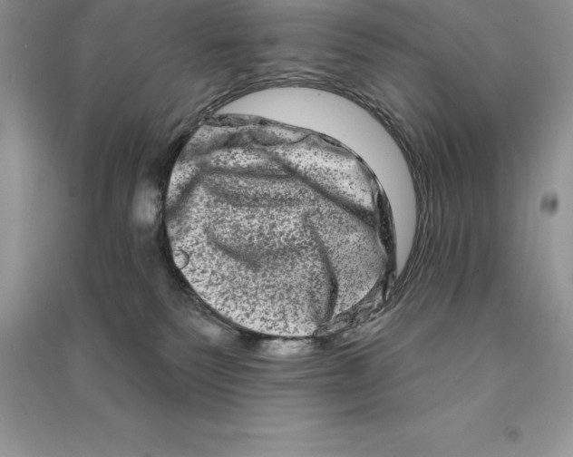 X0000090610135200708141359