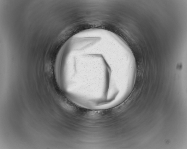 X0000090610136200708141359