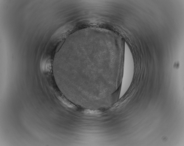 X0000090610137200708141359