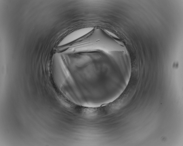 X0000090610139200708141359