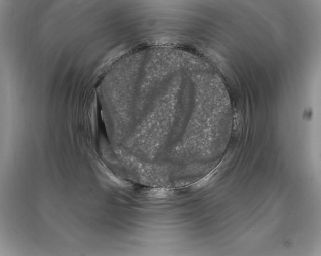 X0000090610142200708141359